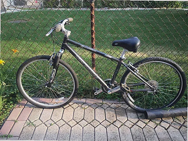 Specialized Expedition Elite Bicycle Bike Touring Road Cruiser